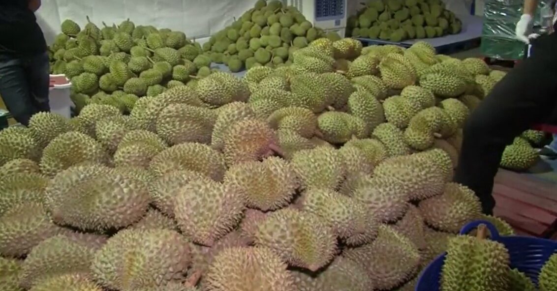 pile of durians