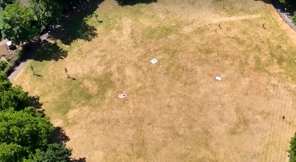 grass turns brown in London becuase of heatwave