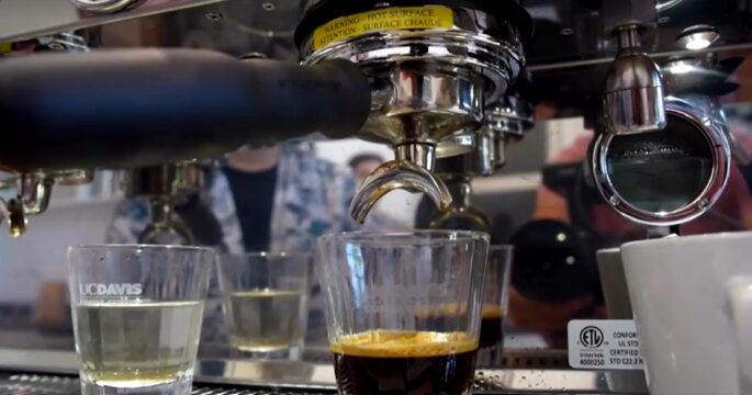 brew coffee