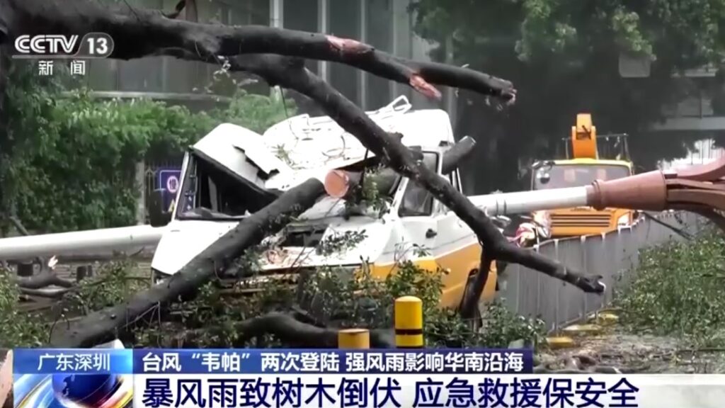 Storm Wipha uproots tree in southern China