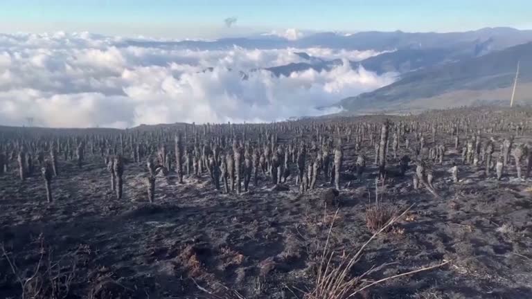 wildfire in Colombia Jan 2024
