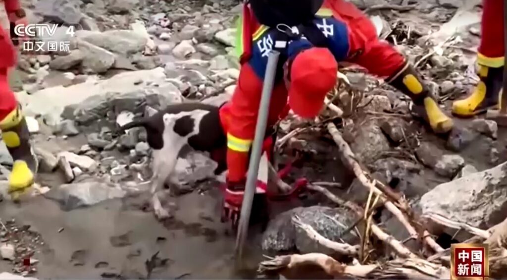 Chinese rescuer searches in flood-affected Gansu