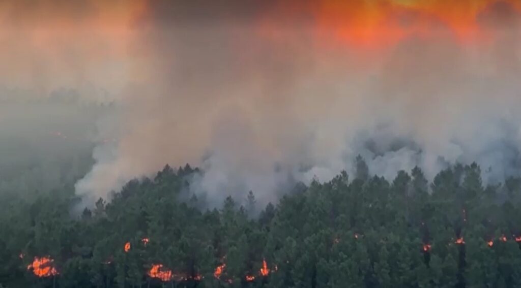 Spain's wildfires