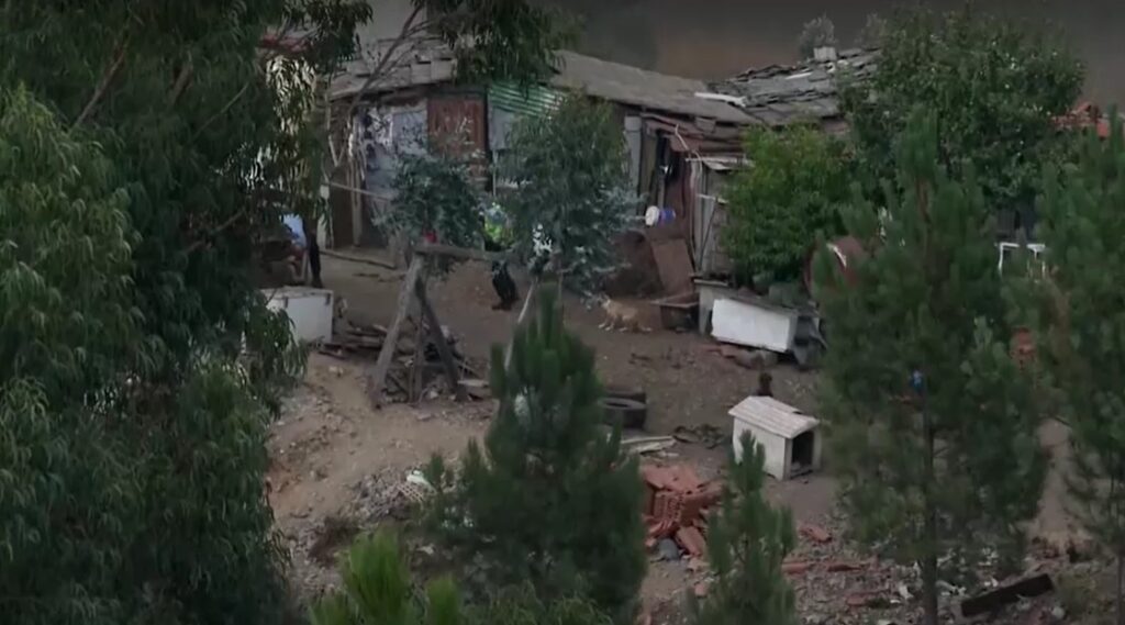 Police help dogs from wildfire in Portugal