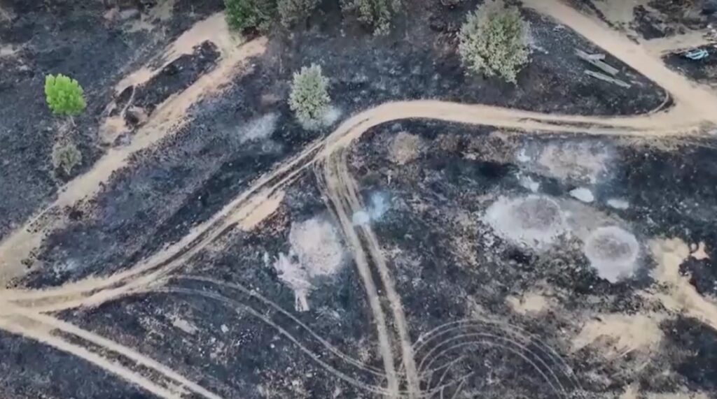 drone view of charred area from wildfire in Spain