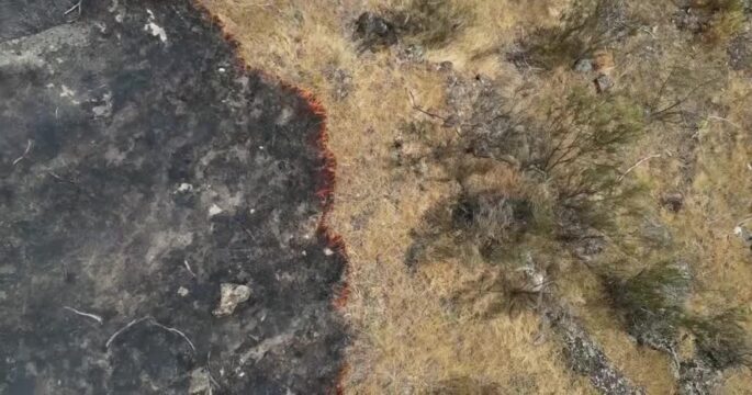 drone view of wildfire burning