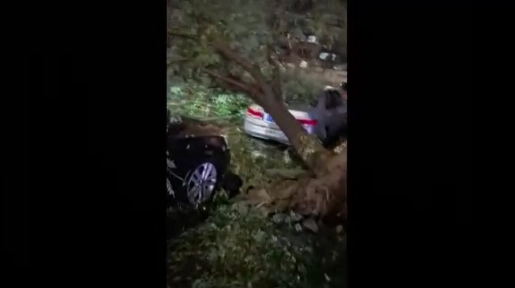 Tree falls on car in Beijing